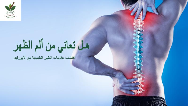 Are you suffering from back pain?