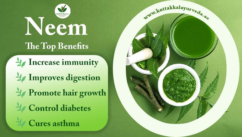 neem benefits